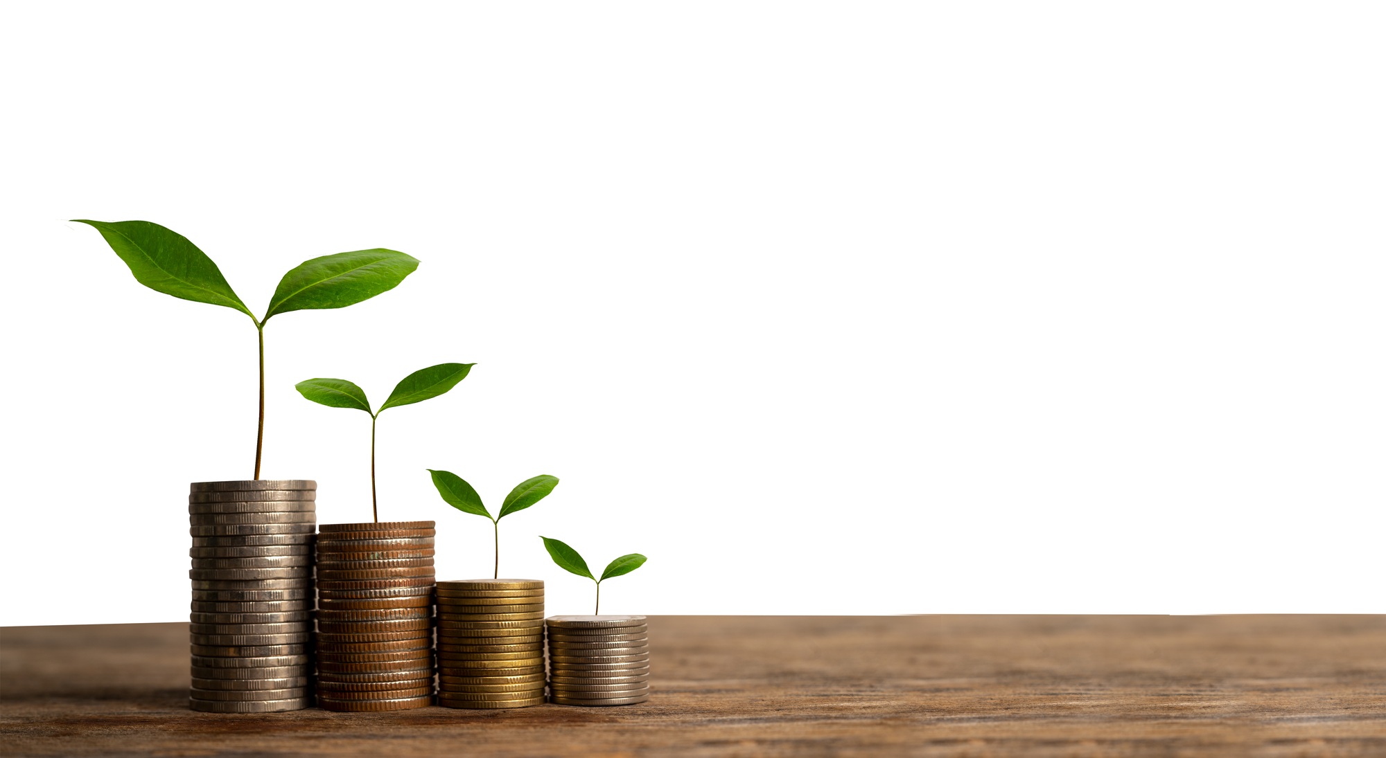 Money growing concept,Business success concept,Trees growing on pile of coins money